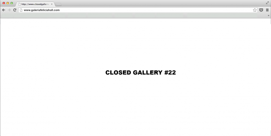 CLOSED GALLERY #22 (Galeria Felicia Hall)