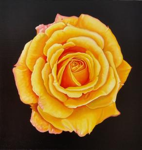 "YELLOW ROSE II"