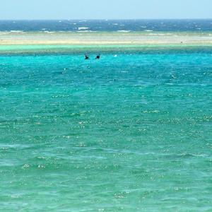 Egypt. Luxor and Marsa Alam