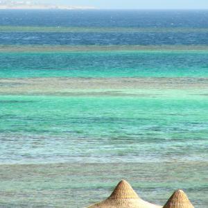 Egypt. Luxor and Marsa Alam