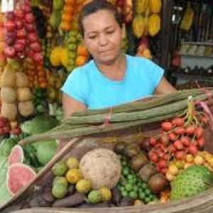 Wonders of Brazil - Fruits