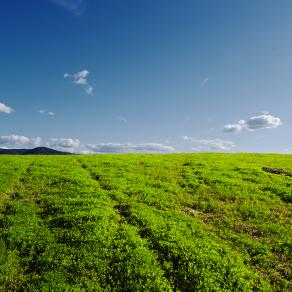 La terra e il cielo