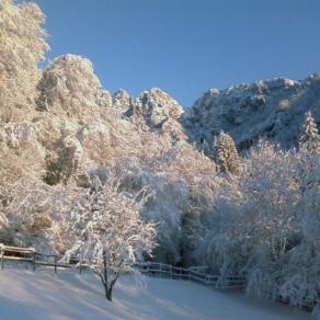 Mattino d'inverno