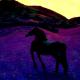 dreamming wild horse