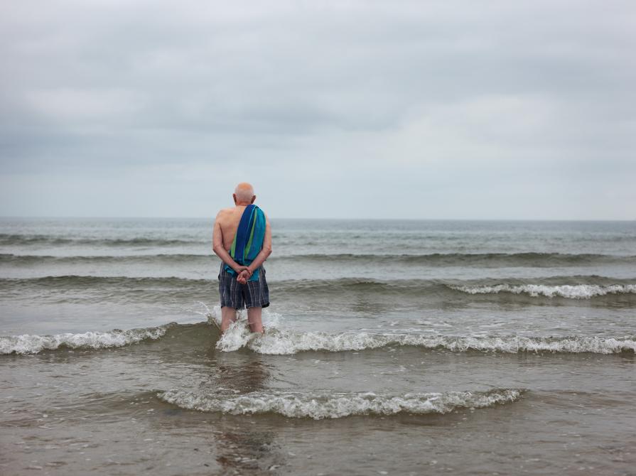 copper horses swimming photo