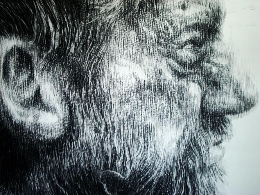 Reflecting on Oedipus (detail of drawing)