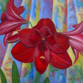 Amaryllis