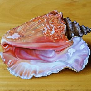 "CONCH SHELL"