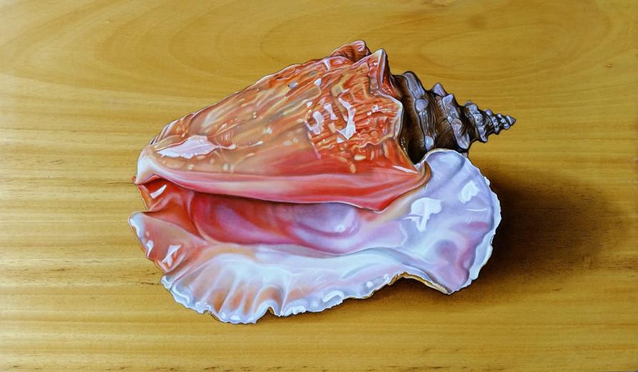 "CONCH SHELL"