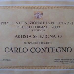 premio internazionale la pergola arte piccolo formato 2009