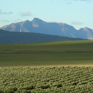 South Africa. Un/natural colors