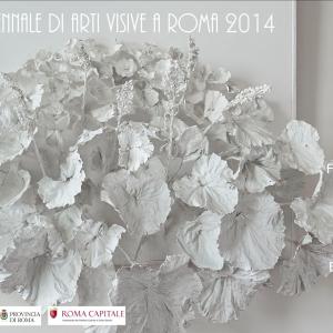 Triennale di arti visive di Roma 2014