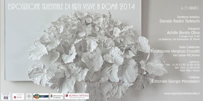 TRIENNIAL EXHIBITION OF VISUAL ARTS IN ROME 2014