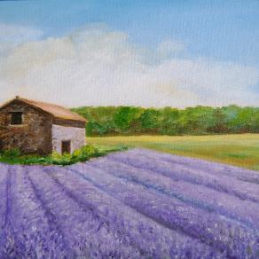 Campo di lavanda