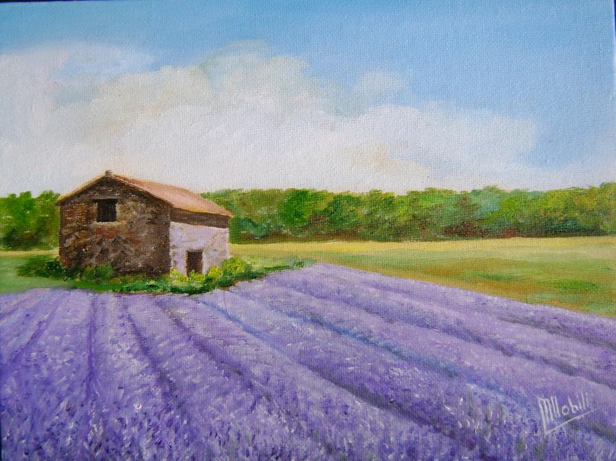 Campo di lavanda