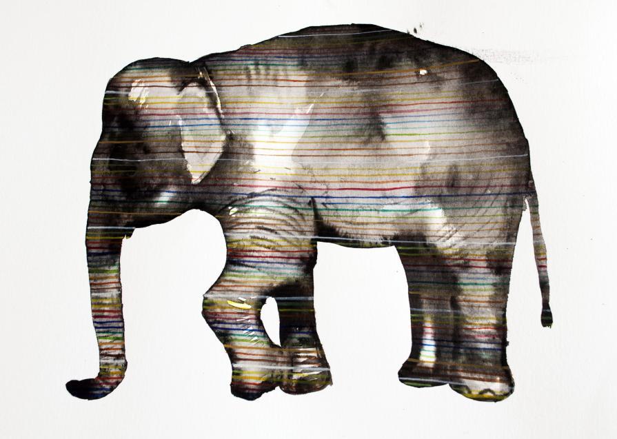 Elephant Chromatic