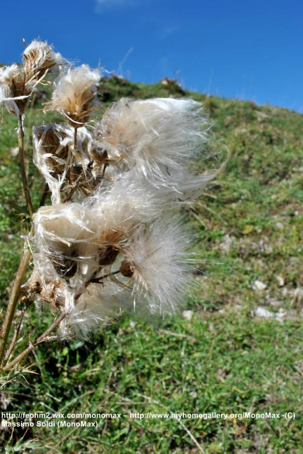 Natura in quota - Nature in altitude