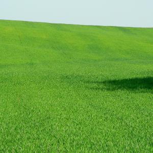 Italy. Puglia. Inland Bari