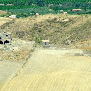 Italy. Sicily, Enna colors of summer