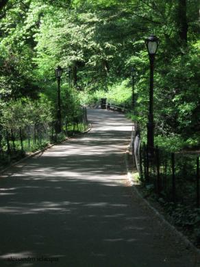 central park