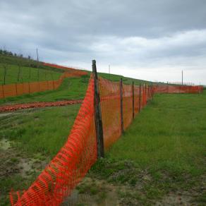 Red Fence