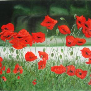 Asya Tsvetkova – Poppy Field