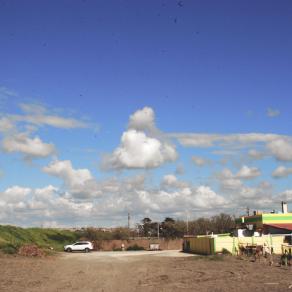 Spring on a solitary beach