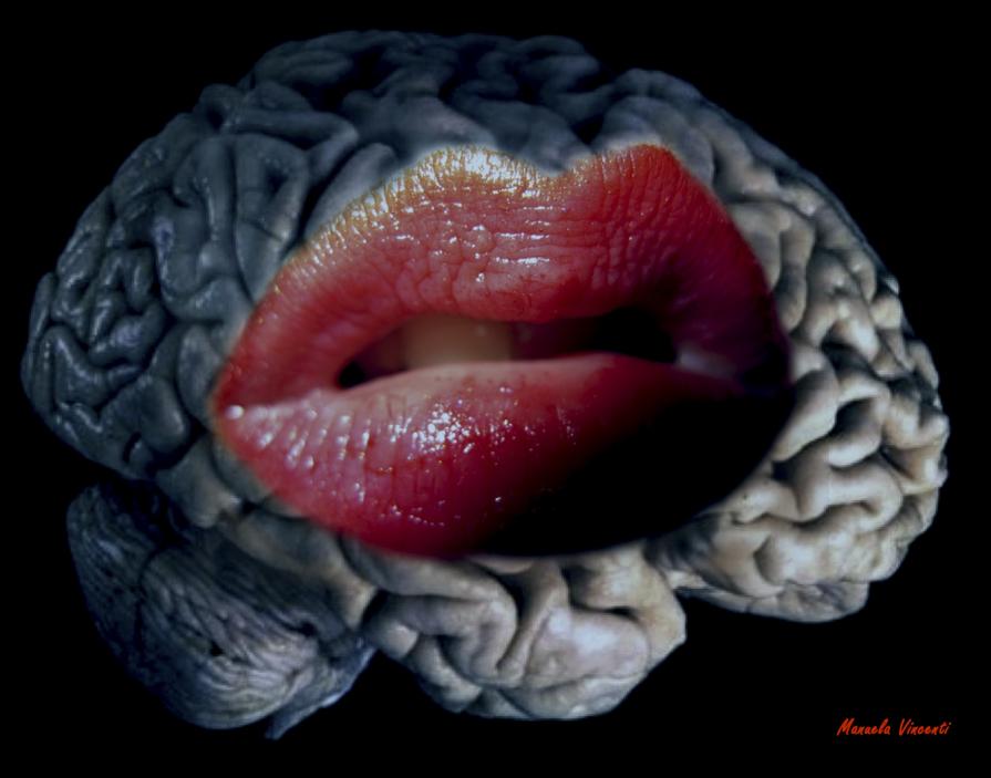 Sexy brain