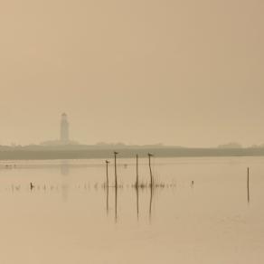 Faro di Delta