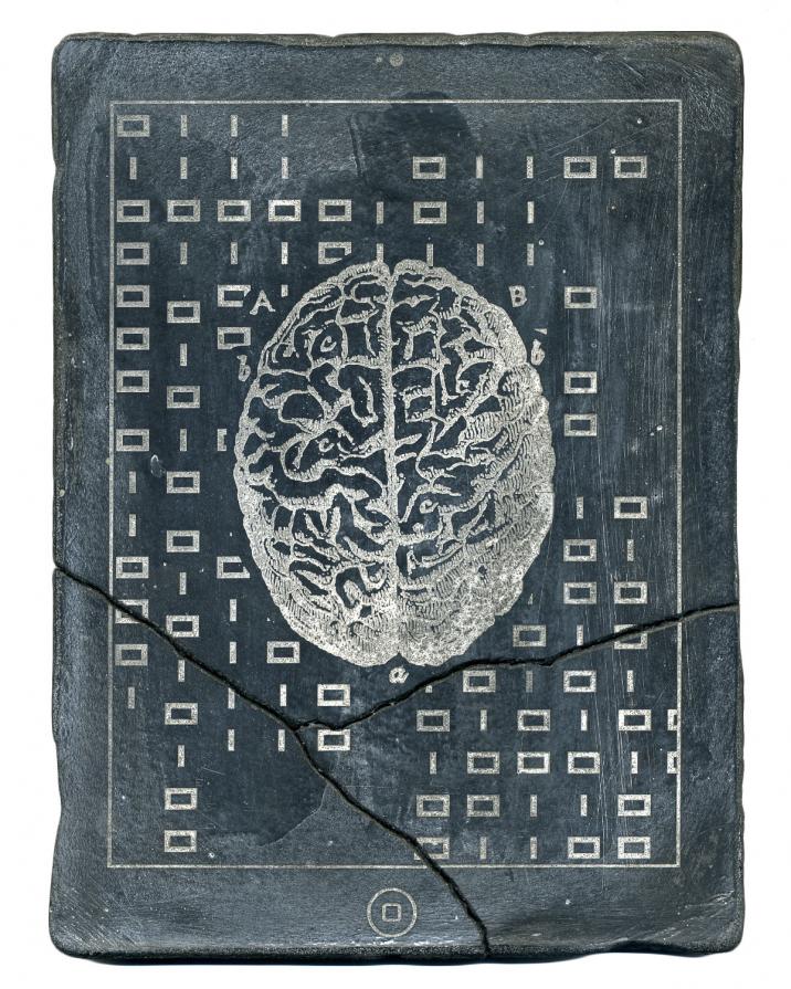 CODEX (brain)