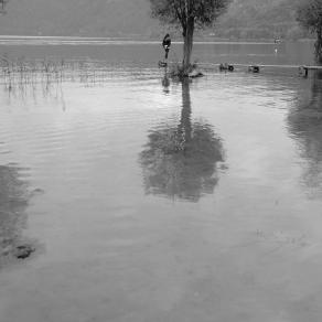 Paesaggio lacustre con figura femminile / Lakescape with Female Figure