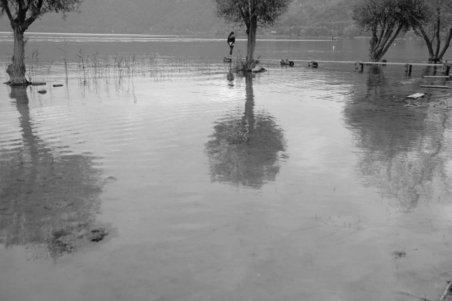 Paesaggio lacustre con figura femminile / Lakescape with Female Figure