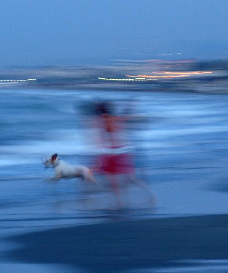 La sera, la spiaggia, il cagnolino.