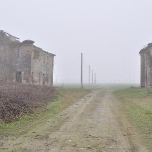 Nebbia