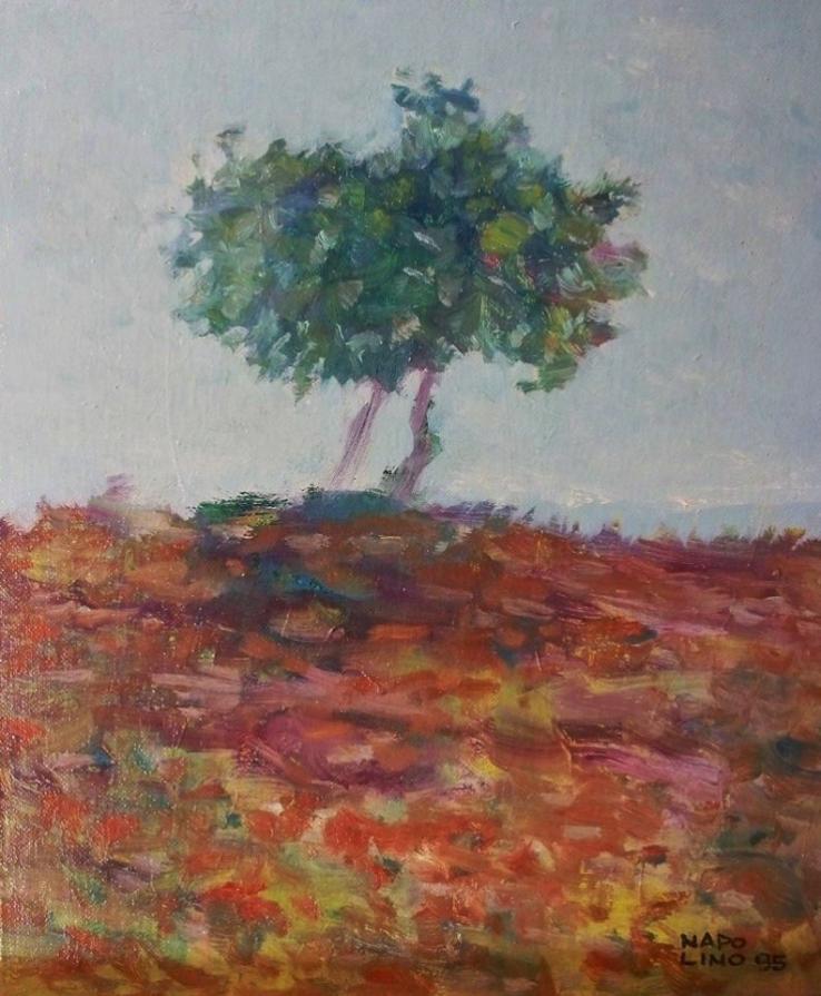 albero solitario