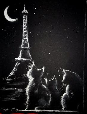 chats parisienne