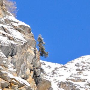 Italy. Val d'Aosta. White and his reflexes