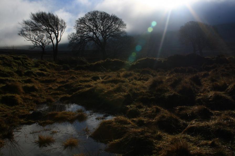 driving through the wicklow mountains