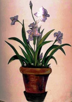 pianta con fiori viola