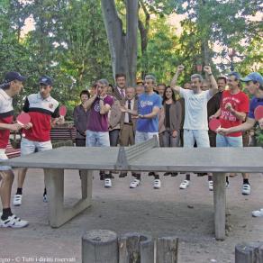 Partita a ping pong