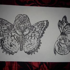 BUTTERFLY