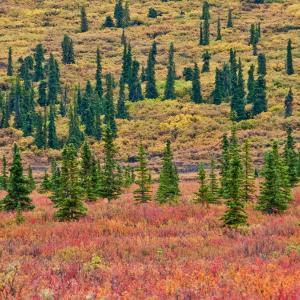 USA. Alaska 2/3. Boundaries and beyond