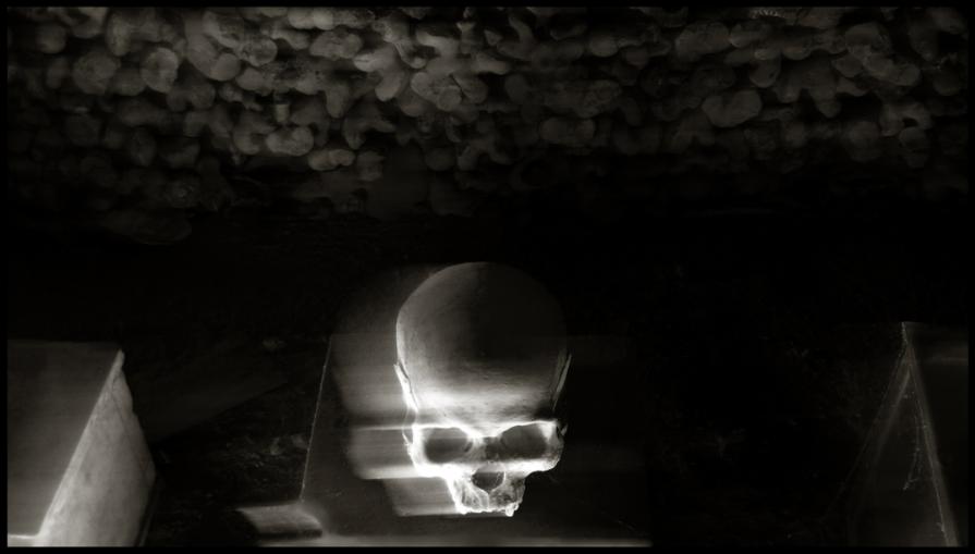 Skulls (Skull, Teschi, Teschio) - fotografia di Augusto De Luca. 9