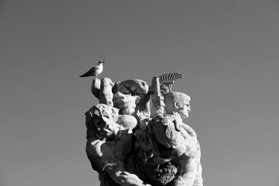 #Roma #Desaturata : Statue Roma 1