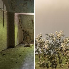 from the series of silence_diptychs