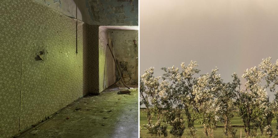 from the series of silence_diptychs