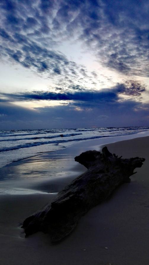 il mare è l'oracolo di chi sa ancora aspettare