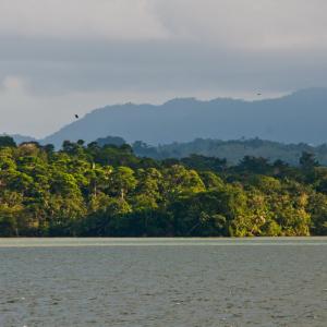 Guatemala. Tierras Mayas 2/2