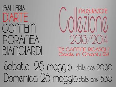 Collezione 2013/2014 