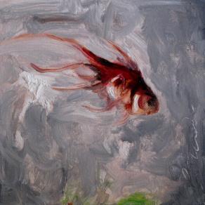 Il pesce rosso